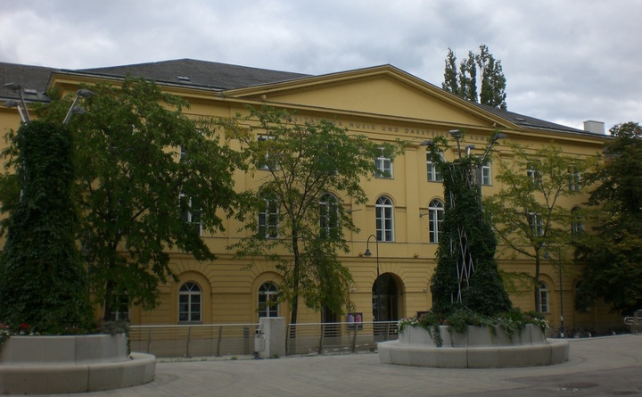 A Universidade de Música e Artes Cênicas de Viena é uma das universidades de maior prestígio para quem sonha em estudar música. 
